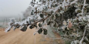 Gélida noche en la provincia de Salamanca con temperaturas mínimas de -6º