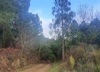 El Parque Micológico ‘Sierras de Francia, Béjar, Quilamas y El Rebollar’ consolida a Salamanca como  destino micoturístico
