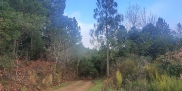 El Parque Micológico ‘Sierras de Francia, Béjar, Quilamas y El Rebollar’ consolida a Salamanca como  destino micoturístico