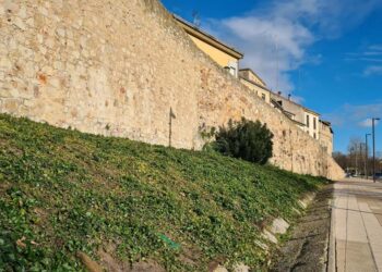 Comienza la renovación del Paseo San Gregorio que contará con carril bici, 95 árboles y 750 plantas arbustivas