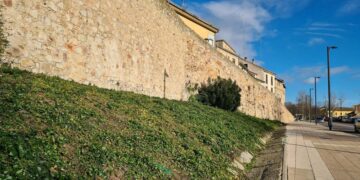 Comienza la renovación del Paseo San Gregorio que contará con carril bici, 95 árboles y 750 plantas arbustivas