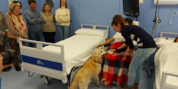 Los perros protagonizan el curso de intervención asistida