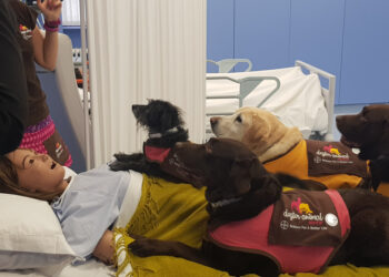 El curso mostrará cómo los perros ayudan a pacientes con demencias, parkinson o salud mental