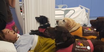 El curso mostrará cómo los perros ayudan a pacientes con demencias, parkinson o salud mental