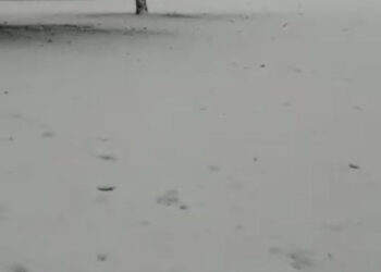 La provincia se tiñe de blanco y ofrece curiosas imágenes invernales