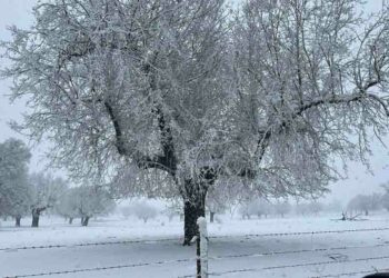 La provincia se tiñe de blanco y ofrece curiosas imágenes invernales