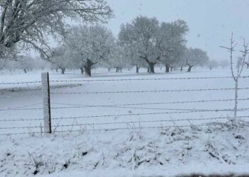 La provincia se tiñe de blanco y ofrece curiosas imágenes invernales