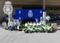 La Policía Nacional desmantela en Las Torres una plantación con 400 plantas de marihuana