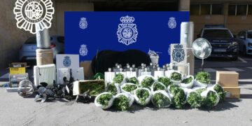La Policía Nacional desmantela en Las Torres una plantación con 400 plantas de marihuana