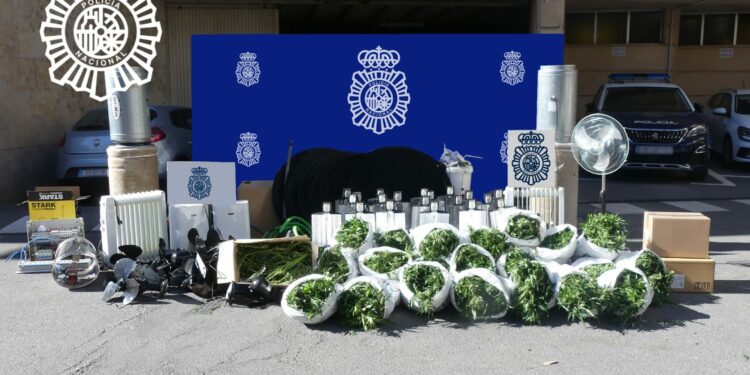 La Policía Nacional desmantela en Las Torres una plantación con 400 plantas de marihuana