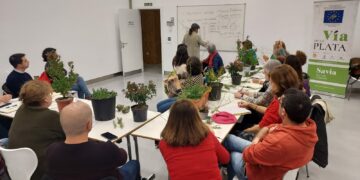 Madroños, hiedra, salvia o lavanda para mejorar la estética de los balcones, facilitar la polinización y mantener temperaturas agradables