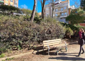El Ayuntamiento da respuesta a las demandas de los vecinos renovando las zonas verdes del barrio Blanco