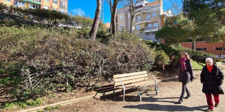 El Ayuntamiento da respuesta a las demandas de los vecinos renovando las zonas verdes del barrio Blanco