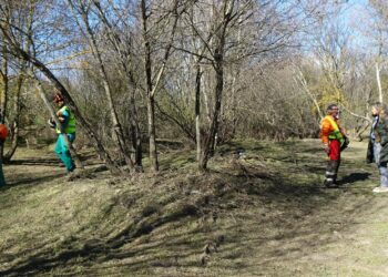 El Consistorio acomete la limpieza de la ribera del Tormes a su paso por la Isla del Soto para evitar incendios tras las últimas crecidas