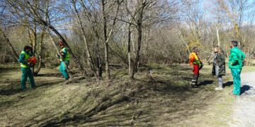 El Consistorio acomete la limpieza de la ribera del Tormes a su paso por la Isla del Soto para evitar incendios tras las últimas crecidas