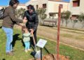 Los nuevos vecinos ya ‘echan raíces’ en ‘El Bosque de los Niños’ de Doñinos