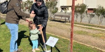 Los nuevos vecinos ya ‘echan raíces’ en ‘El Bosque de los Niños’ de Doñinos