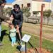 Los nuevos vecinos ya ‘echan raíces’ en ‘El Bosque de los Niños’ de Doñinos