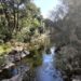 La provincia de Salamanca estrena el sábado la temporada de pesca de la trucha