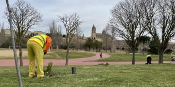 Comienza la plantación de 2.000 árboles y 18.000 arbustos en cuatro zonas de la ciudad