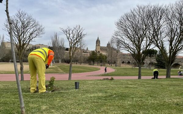 Comienza la plantación de 2.000 árboles y 18.000 arbustos en cuatro zonas de la ciudad