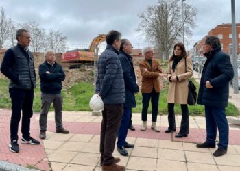 La nueva biblioteca de Pizarrales llevará el nombre de la escritora salmantina Carmen Martín Gaite