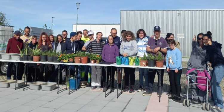 Asprodes y usuarios de la biblioteca de La Vega dan vida y mejoran la imagen de más de un centenar de alcorques