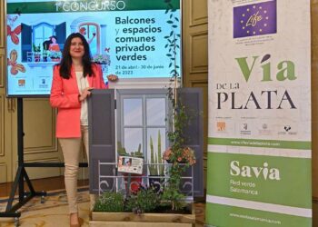 ‘Concurso de balcones’ para embellecer los espacios comunes y fomentar el respeto medioambiental