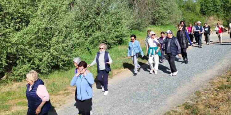 Sol, ejercicio y buena compañía para disfrutar de los ‘Paseos Saludables’ en la Isla del Soto