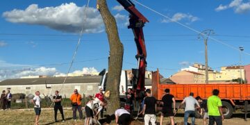 El ‘mayo’, un gran chopo de más de 10 metros y 2.000 kilos de peso, se resiste a los Quintos de Villares