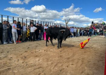 ‘Abubilla’ reúne a un millar de personas para disfrutar de una tarde taurina en las Fiestas de San Marcos