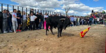 ‘Abubilla’ reúne a un millar de personas para disfrutar de una tarde taurina en las Fiestas de San Marcos