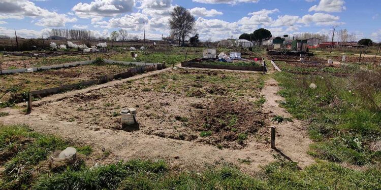 Publicada la convocatoria para optar a 16 huertos de ocio