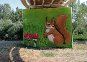 La ardilla ‘Ría’ se convierte en el nuevo huésped de la Isla del Soto