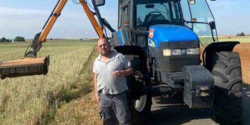 Desbroce y eliminación de maleza de caminos y cunetas para disminuir el riesgo de incendios