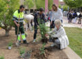 Plantación de un centenar de ejemplares para celebrar el Día de la Diversidad Biológica