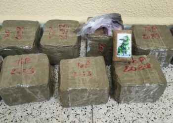 La Guardia Civil interviene en Pelabravo 10,6 kilos de hachís en la mayor incautación de los últimos años