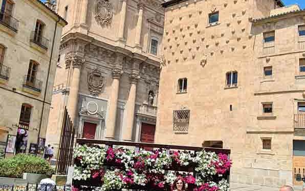 La Rúa Mayor estrena un ‘muro de flores’ que mezcla patrimonio y biodiversidad
