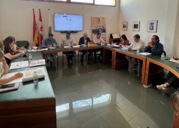 El nombramiento de tres nuevas calles en la urbanización El Pajarón centra el último pleno de la legislatura