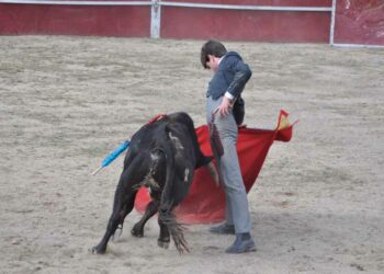 Los vecinos disfrutan de una clase práctica de los alumnos de la Escuela de Tauromaquia y de la capea popular