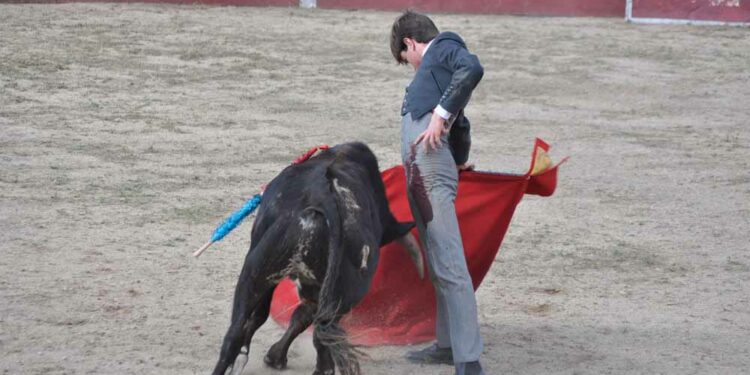Los vecinos disfrutan de una clase práctica de los alumnos de la Escuela de Tauromaquia y de la capea popular