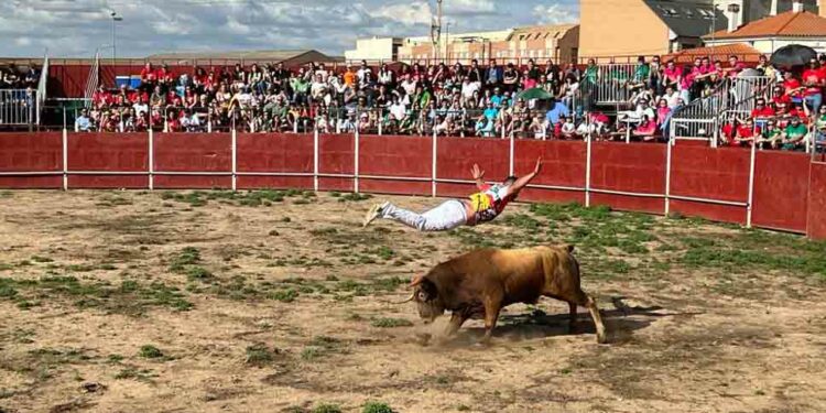 Gran expectación y ambiente festivo en la exhibición de cortes y la capea popular