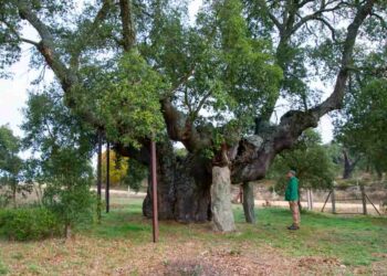 Salamanca suma el sexto sendero para ampliar su oferta de turismo micológico