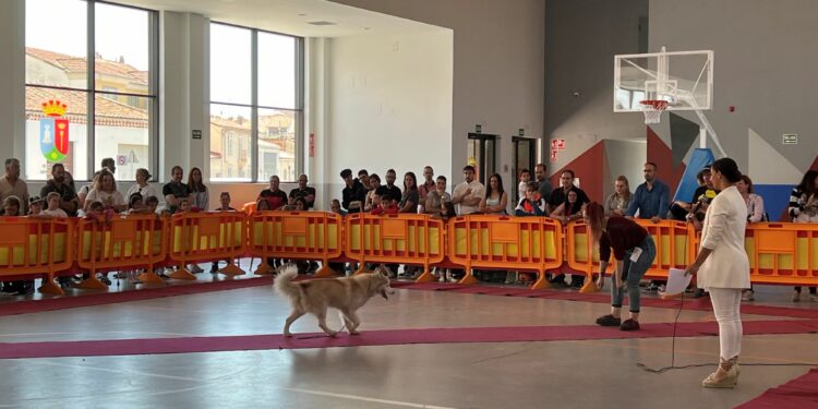La exhibición canina reúne en Villares a medio centenar de amantes de los animales