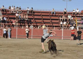 Rivalidad y competencia en la capea con un gran repertorio de cortes, quiebros y saltos