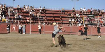 Rivalidad y competencia en la capea con un gran repertorio de cortes, quiebros y saltos