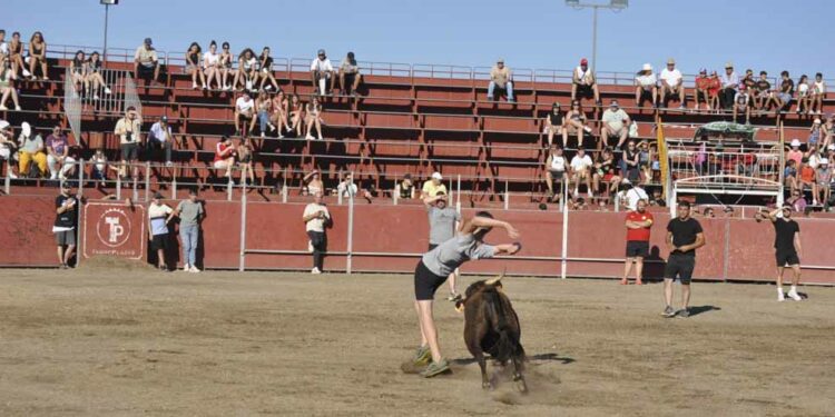 Rivalidad y competencia en la capea con un gran repertorio de cortes, quiebros y saltos