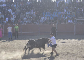 El ‘Toro del Aguardiente’ pone a prueba el valor y la pericia de los cortadores de Santa Marta