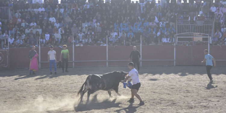 El ‘Toro del Aguardiente’ pone a prueba el valor y la pericia de los cortadores de Santa Marta