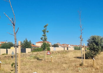 El PP de Carrascal de Barregas denuncia la falta de trabajo y la inactividad del actual equipo de Gobierno